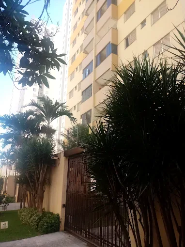 Portão lateral de grade escura entre palmeiras e plantas do jardim, com a torre ao fundo.